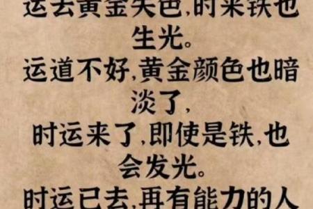 太极贵人 - 八字看你的仙缘