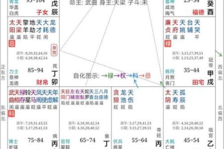 紫微斗数之后天运势－－岁限的分析推断：看流年