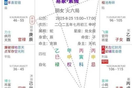 紫微斗数诸星落诸宫之：天府星财帛宫详解