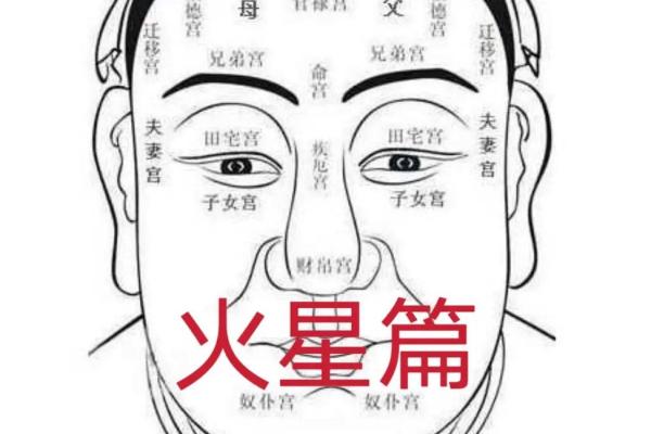 八字官禄