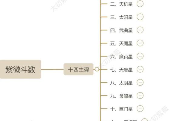 紫薇斗数入门术语