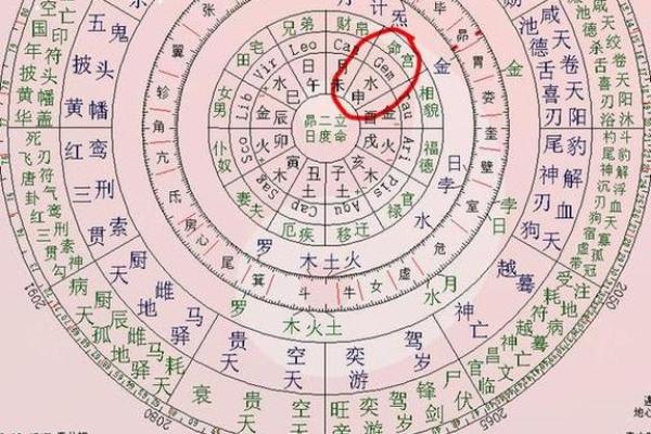 紫薇斗数大限大子女