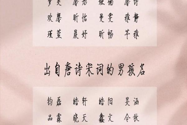 2019年3月23号寅时出生的男孩如何起名姓名