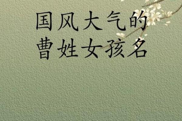曹姓女孩名字大全-曹姓女孩起名字大全-曹姓名字大全姓名