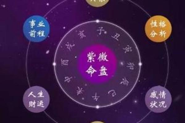 紫薇斗数死