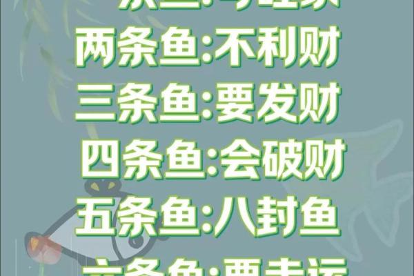 家里养鱼也有风水讲究这么一说