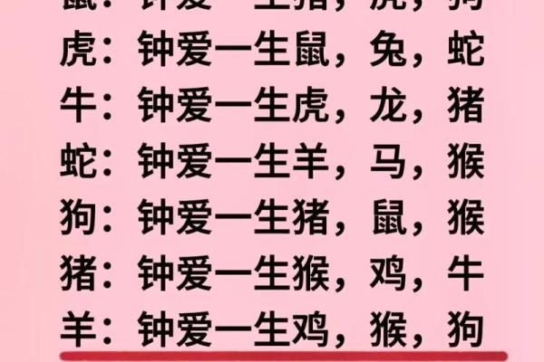 十二生肖配对表