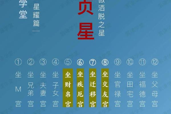 元贞亨利紫薇斗数