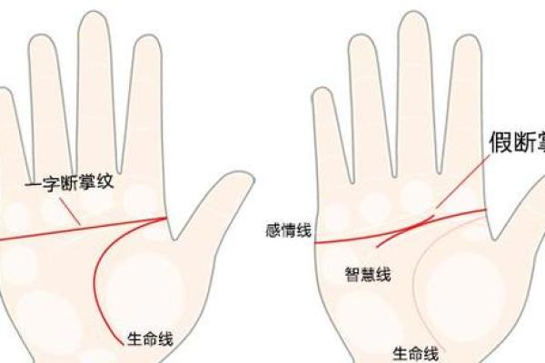 男人断掌手相算命,男人掌纹图解算命