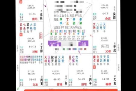 宝宝免费生辰八字
