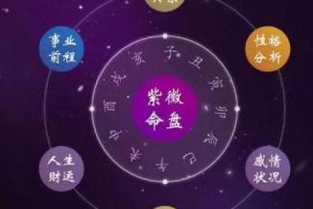 紫薇斗数死