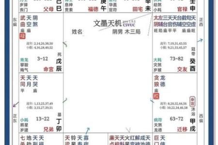 紫微斗数之财帛宫与诸星，天相星在财帛宫是什么意思？