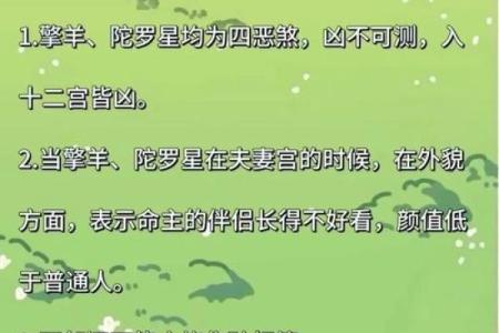 紫薇斗数看什么样的男女会结婚