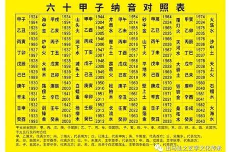童子命查询方法之八字年柱纳音查询法