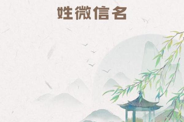 苏姓男孩名字大全-苏姓男孩起名字大全-苏姓名字大全姓名