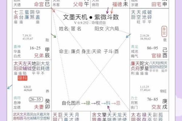 紫薇斗数什么星是大老婆命
