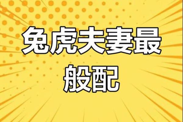 生肖兔和兔的配对是否适合