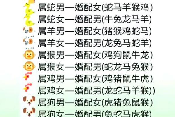 属猪的和什么属相配对好
