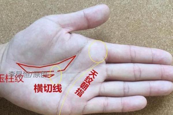算命的说，手腕上有这样的纹路，一定会破财！
