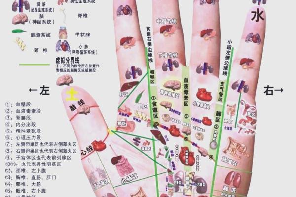 男人手上有9个斗的命运 手相算命