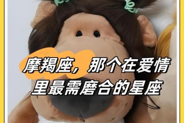 哪些星座可以理解摩羯女的