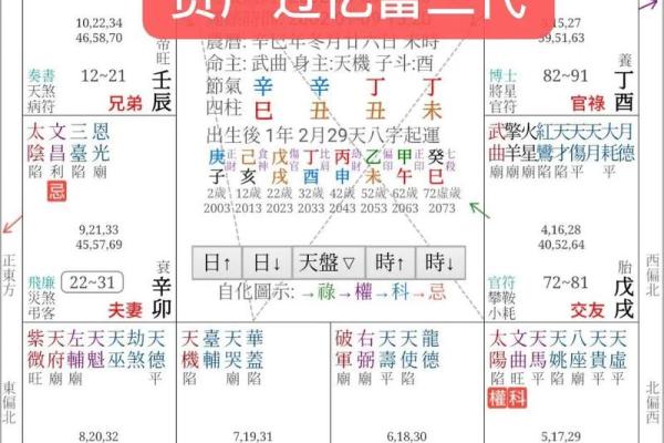 紫薇斗数權祿
