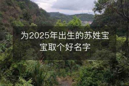 苏姓男孩名字大全-苏姓男孩起名字大全-苏姓名字大全姓名