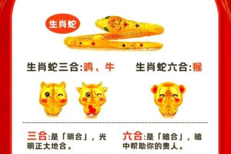 属牛和属蛇合不合 属牛属蛇配对可行吗