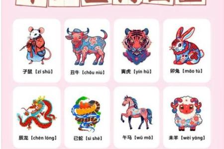 十二生肖属相及性格特点介绍及配对优劣分析