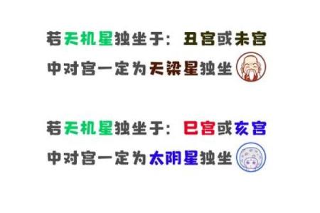《紫微斗数》丙级星星曜组合特性