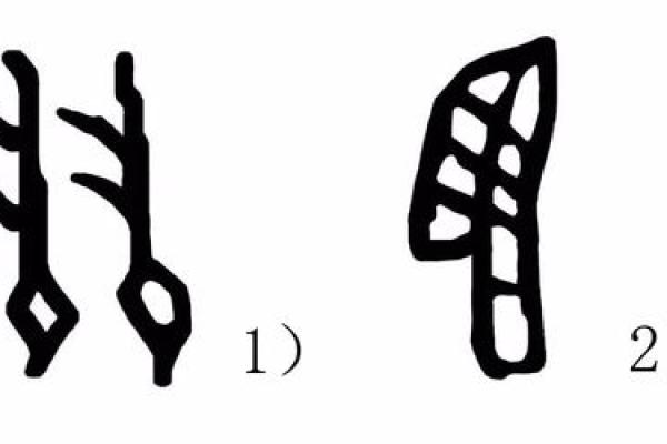 羽的八字