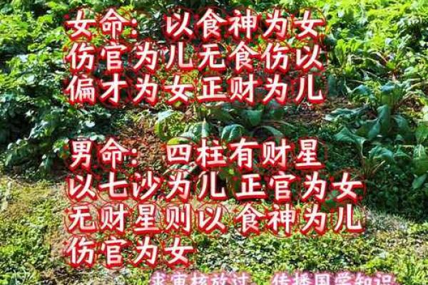 八字看老婆