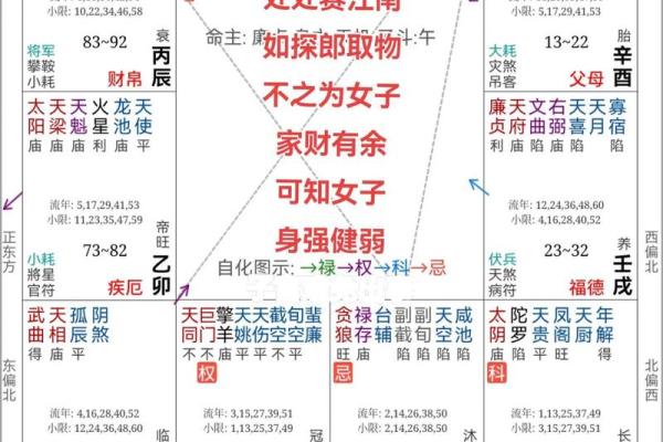 紫薇斗数安卓