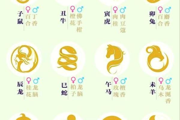 生肖年份配对表姻缘 生肖和年份对照表？