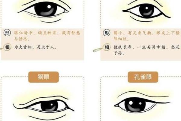 风水男人面相眼睛小预示有什么性格特征