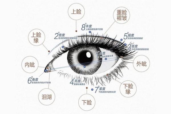 风水男人面相眼睛小预示有什么性格特征