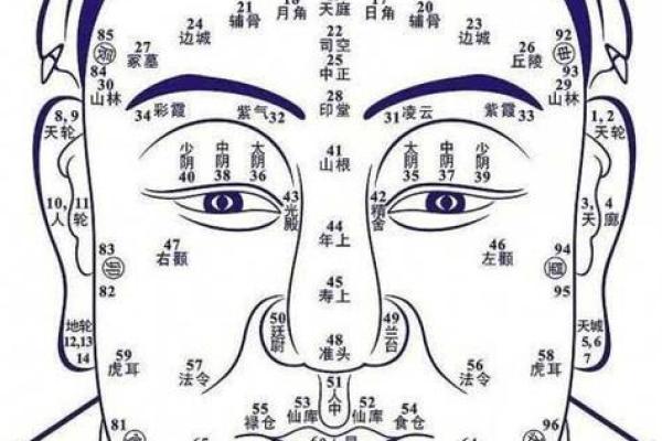 自己算命方法图解