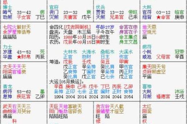 紫微排盘,紫微斗数怎么看自己的才华