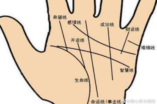 女人手纹算命图解,有福气的女人手相
