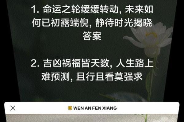 算命的口头禅,算命夸人的经典语录