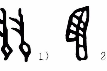 羽的八字