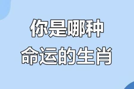 生肖预测，如何通过“去”字测试你的属相