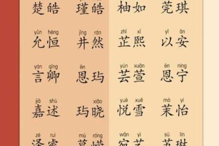 2019年5月30号卯时出生的男孩如何起名姓名