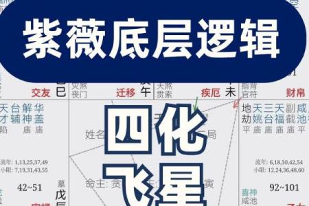 飞星四化紫薇斗数