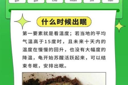 乌龟风水_龟眠之地是什么
