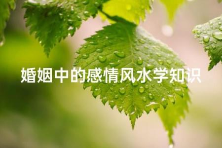 影响感情婚姻的风水，不得不知