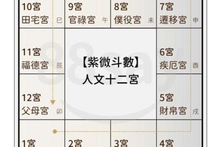 紫薇斗数创业流年