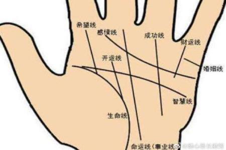 女人手纹算命图解,有福气的女人手相
