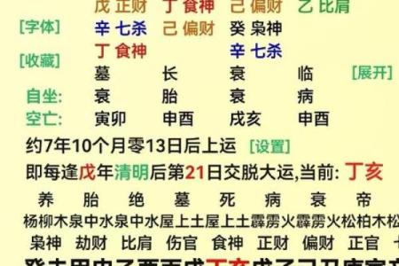 如何根据八字时支帝旺找到最佳职业？