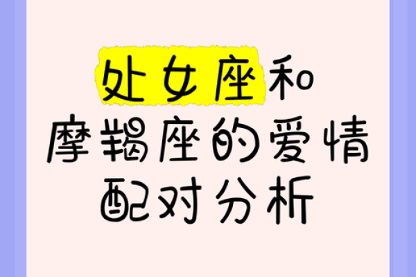 双子处女座配对分析